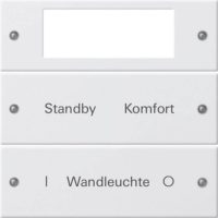 Gira Wippenset 2-fach beschr. Sys 55 reinweiß 221227