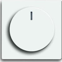 Busch-Jaeger Zentralscheibe dav/stws für Drehdimmer 6540-84-102