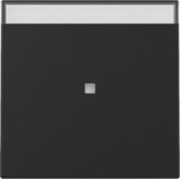 GIRA 3670005 Wippe Kontrollfenster+BSF System 55 Schwarz matt (lackiert)