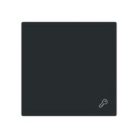 Busch-Jaeger Wippe Schalter schwarz matt 2520 TR-45M Schl/Tür