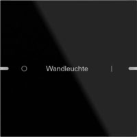 GIRA 503105 Wippenset 1fach indiv. Tastsensor4 TS4 Glas Schwarz