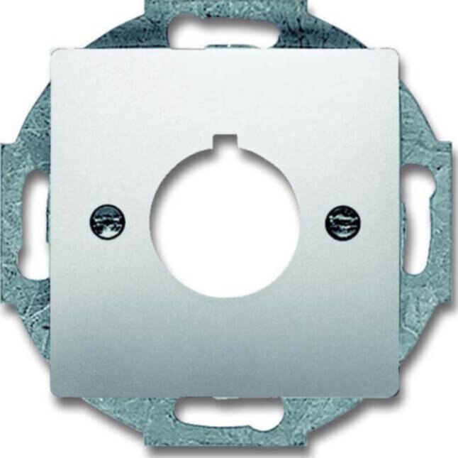 Busch-Jaeger Busch-Jaeger Zentralscheibe Edelstahl 22,5mm Befehlsgeräte 2533-866