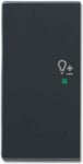 Busch-Jaeger Wippe 2-f li Symbol Dimmer anthrazit 6234-21-81