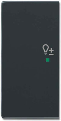 Busch-Jaeger Wippe 2-f li Symbol Dimmer anthrazit 6234-21-81