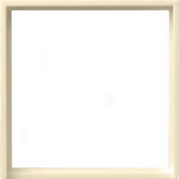 Gira Adapterrahmen cremeweiß-glänzend quadr. 50x50mm S.55 028201