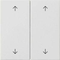 Gira Wippe 2-fach Reinweiß 538727