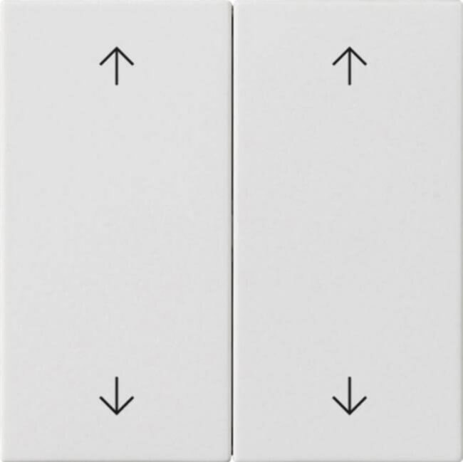 Gira Gira Wippe 2-fach Reinweiß 538727