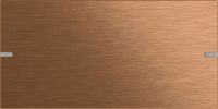 GIRA 833238 Wippe Tastsensor4 2fach TS4 Bronze