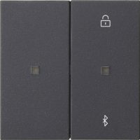 Gira Jalousie-/Schaltuhr Anthrazit 538128