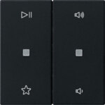 Gira Wippe 2-fach Audiostrg schwarz matt 5384005
