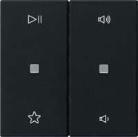 Gira Wippe 2fach Audiostrg schwarz matt 5384005