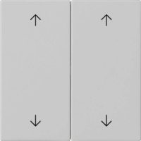 Gira Wippe 2-fach Grau 5387015