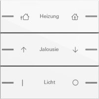 GIRA 576303 Wippenset 3fach indiv. Tastsensor4 System 55 Reinweiß glänzend