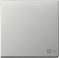 GIRA 3287600 Wippe Symbol Tür System 55 Edelstahl