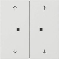 Gira Wippe 2-fach Reinweiß 5386112