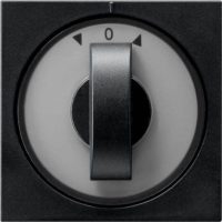 Gira Abdeckung schwarz Knebel Zeitschalter 0666005