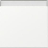 GIRA 329927 Wippe Beschriftungsfeld System 55 Reinweiß seidenmatt