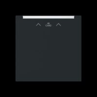 Busch-Jaeger Hotelcard Schalter/Dimmer matt 1792 RFID-45M tief-schwarz Hotelcard