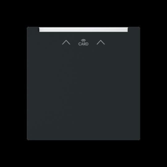 Busch-Jaeger Busch-Jaeger Hotelcard Schalter/Dimmer matt 1792 RFID-45M tief-schwarz Hotelcard