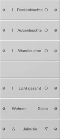 Gira Wippenset 6-f. 3+3 beschr.gr lackiert 2206015