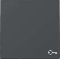 GIRA 328728 Wippe Symbol Tür System 55 Anthrazit