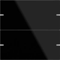 Gira Wippenset 2-fach Tastsens.4 TS4 G schwarz 502205