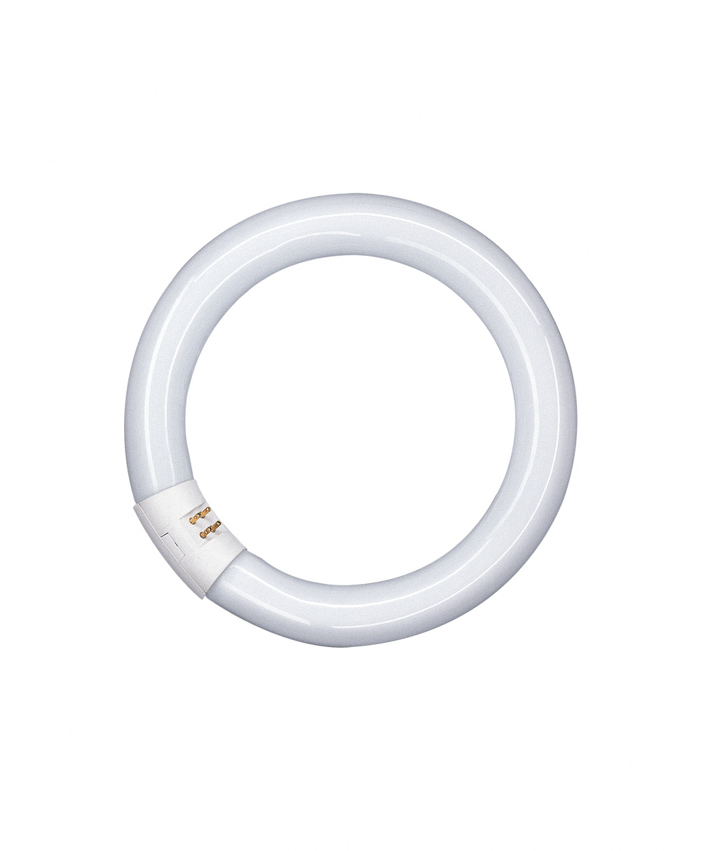 Osram L32W 840C G10q 29mm D:305mm FLH1 Ringform LLp LUMILUX Hellweiß
