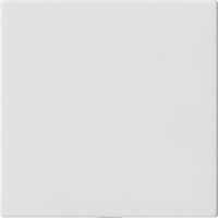 Gira Blindabdeckung o.Tragring reinweiß 810827