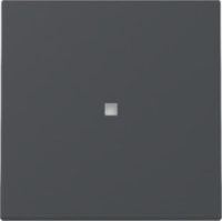 GIRA 329028 Wippe Kontrollfenster System 55 Anthrazit