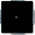 Busch-Jaeger Zentralscheibe schwarz matt Blindabdeckung, mit Tragring 1742-885