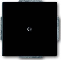 Busch-Jaeger Zentralscheibe schwarz matt Blindabdeckung, mit Tragring 1742-885