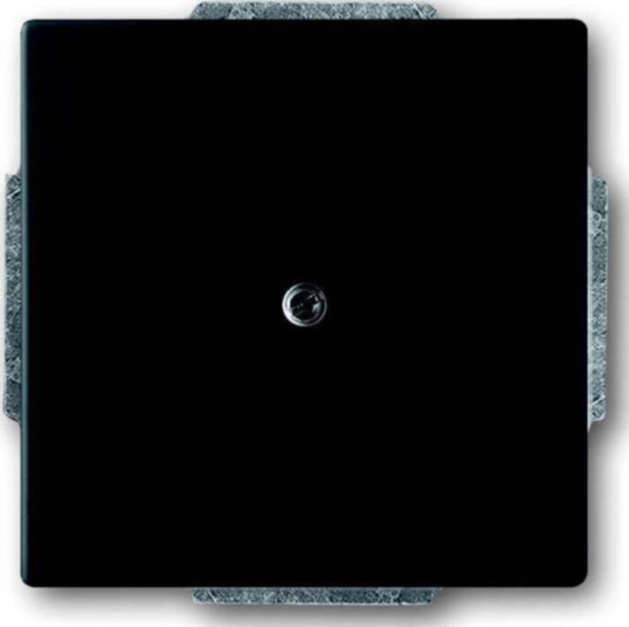 Busch-Jaeger Zentralscheibe sw mt Blindabd,m.Tragring 1742-885 – Bild 1