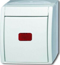 Busch-Jaeger Kontr.-Wechselschalter 2601/6 SKW-54