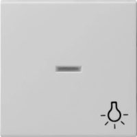 Gira Wippe Kontrollf.+Licht gr 0674015