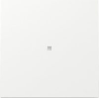 GIRA 329070 Wippe Kontrollfenster Reinweiß glänzend