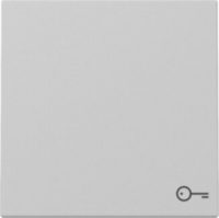 GIRA 3287015 Wippe Symbol Tür System 55 Grau matt (lackiert)