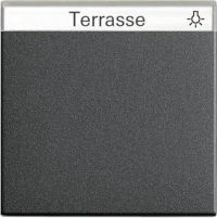 Gira Wippe Wechselsch. anthrazit m.Schiftfeld 029928