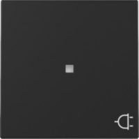 Bild vom Produkt: GIRA 3291005 Wippe Kontrollfenster+Symb. Steckdose System 55 Schwarz matt (lackiert)