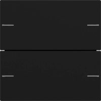 Gira Wippenset 2-fach Tastsensor Schwarz 5752005