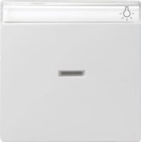 Gira Wippe Kontroll. reinweiß m.Schriftfeld 067027