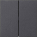 Gira Wippe 2-fach Anthrazit 537028