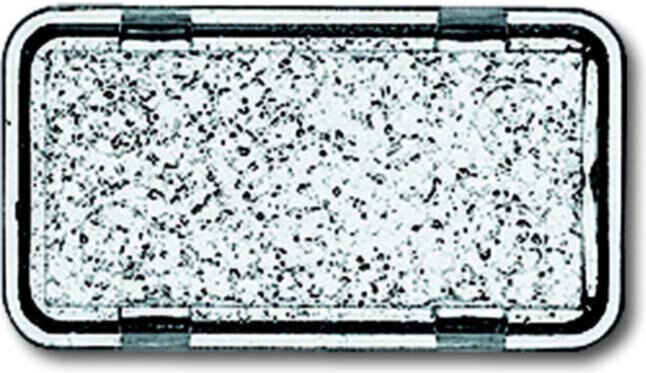 Busch-Jaeger Busch-Jaeger Tastersymbol neutral 2622 N-101