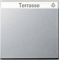 Gira Wippe Wechselsch. alu m.Schiftfeld 029926