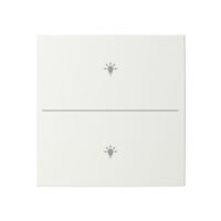Busch-Jaeger Tastwippe KNX free@home alpinweiß LFBT/A.2.55.11-914 Kunststoff Thermopl 2-fach