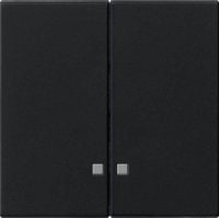 Gira Wippe 2fach schwarz Kontrollfenster 0631005