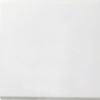 GIRA 0127112 Tastschalter Kreuz Flächenschalter Reinweiß glänzend