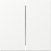 GIRA 329527 Wippe 2fach System 55 Reinweiß seidenmatt