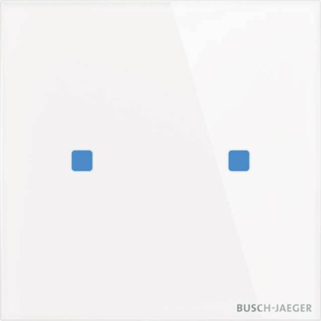 Busch-Jaeger Busch-Jaeger Touch-Bedienelement 2-fach TB/U2.5.11-CG