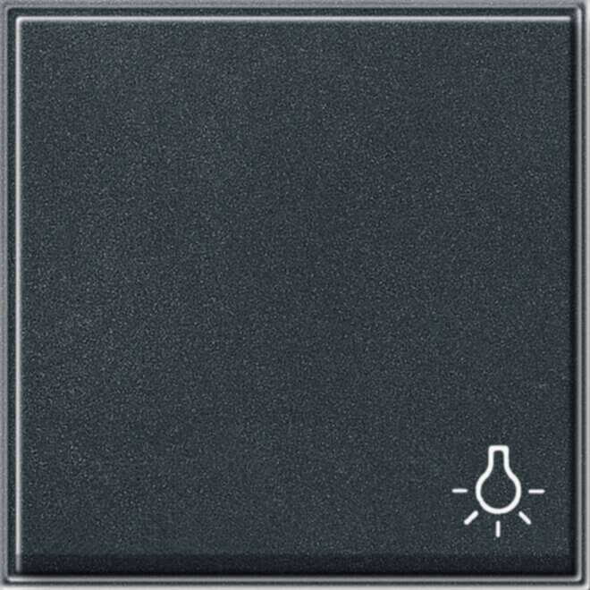 Gira Gira Wippe Licht anthrazit TX44 028567