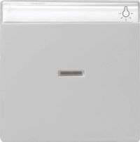 Gira Wippe Kontrollf.+BSF grau 0670015